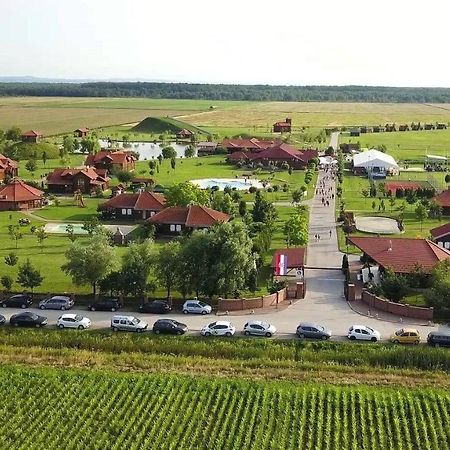 Krasograd Villa Pisarovina Exterior foto